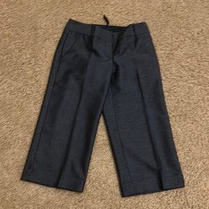 The Limited Navy Lightweight Crop Pants. NWT. Size 2